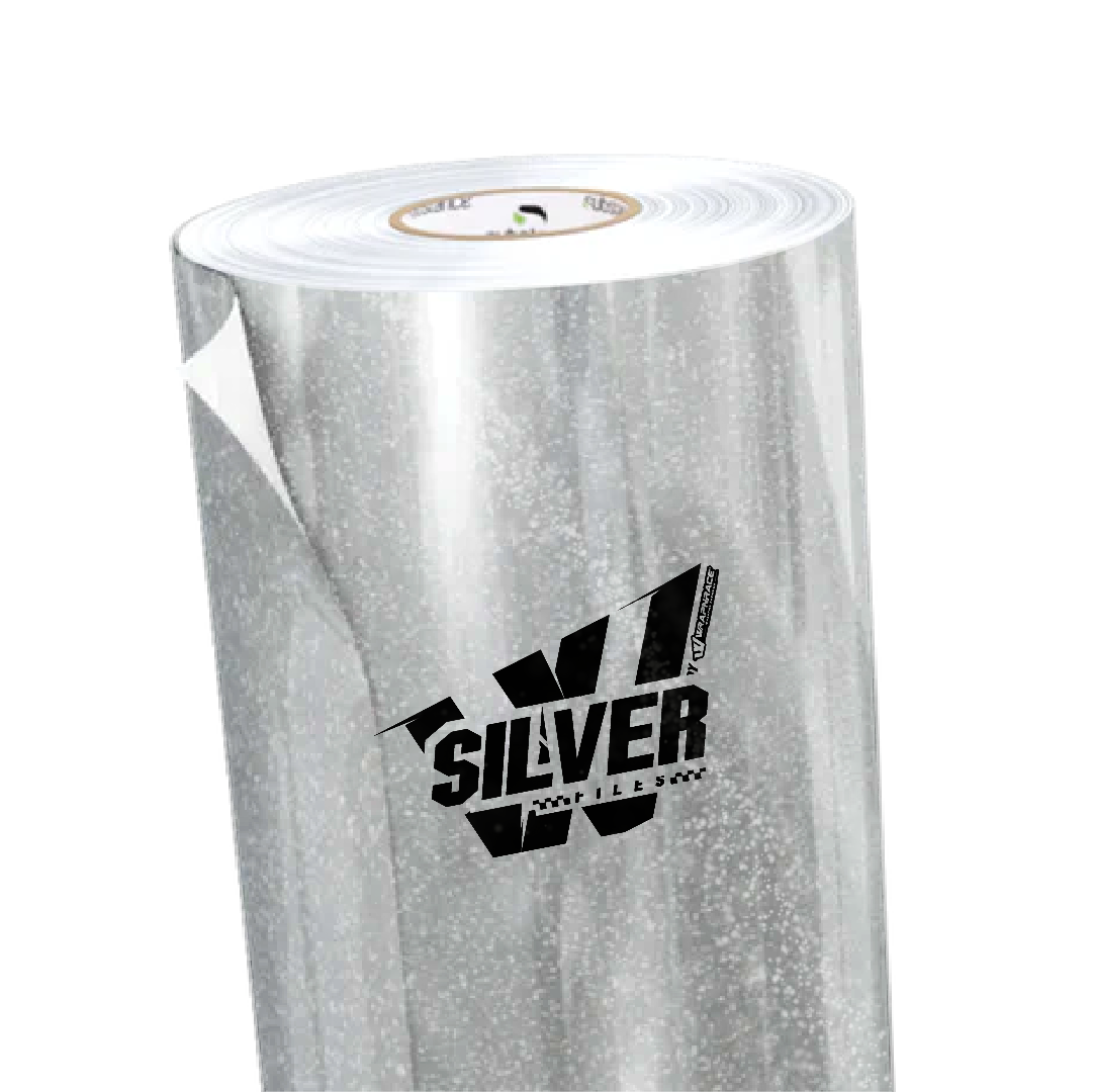 PAILLETÉ SILVER